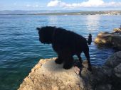 IMG-20181022-WA0020